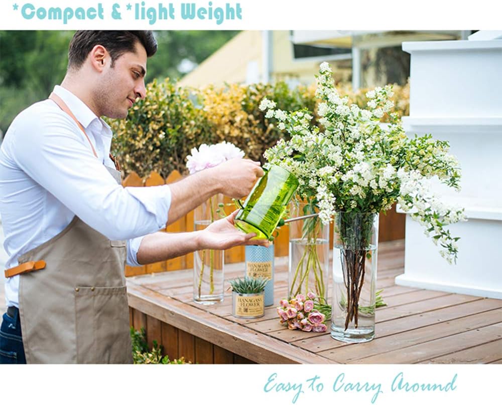 Watering Can Indoor, Small Watering Cans for House Plants, Succulents and Flowers, Long Spout, 1 Liter, with Bonus Plant Mister Spray Bottle