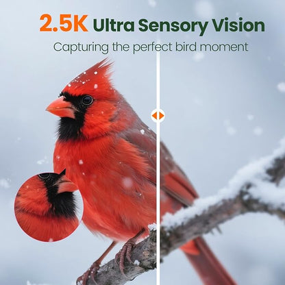 Bird Feeder with Camera 2.5K HD Live Video, AI Bird Identifier, 5MP Photos, 7W Solar Powered & 4000mAh Battery for Wall/Mount/Hang (Green)