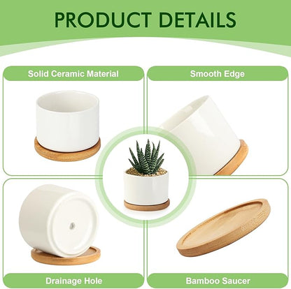 ZOUTOG Succulent Pots 3.1 Inch,6 Pack Succulent Planters,Small Pots for Plants with Drainage and Tray,White Ceramic Flower Planters for Indoor Plants,Home,Office,Desk