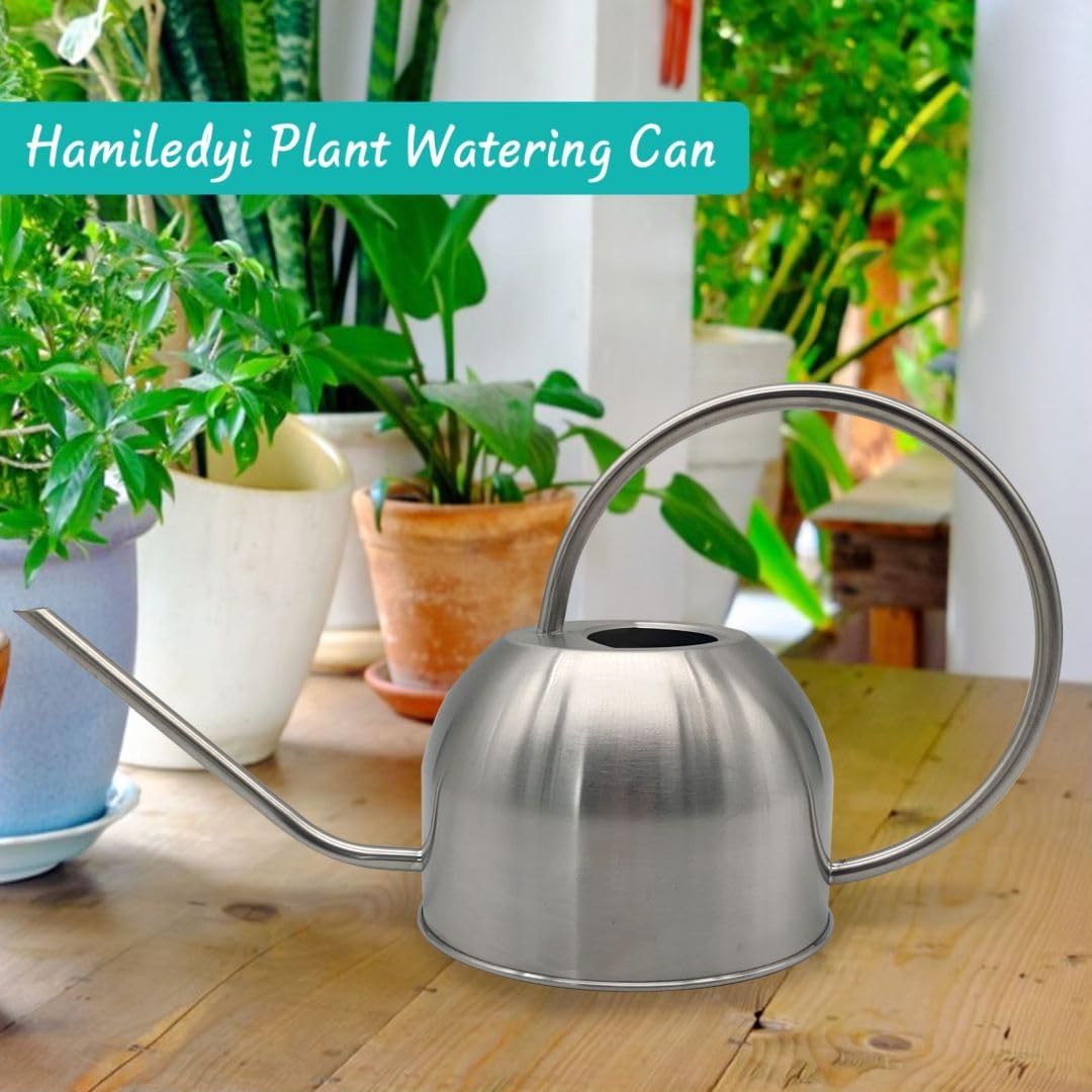 Hamiledyi 50 oz/1500 ml Stainless Steel Watering Can with Long Spout Metal Watering Can Indoor Outdoor Flower Watering Pot for Garden Orchid Bonsai Office Desk Plants (Silver)