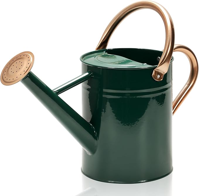 Metal Watering Can with Removable Spout, Galvanized Watering Can, Perfect for Indoor Use and for Outdoor Use (1 Gallaon, Green)