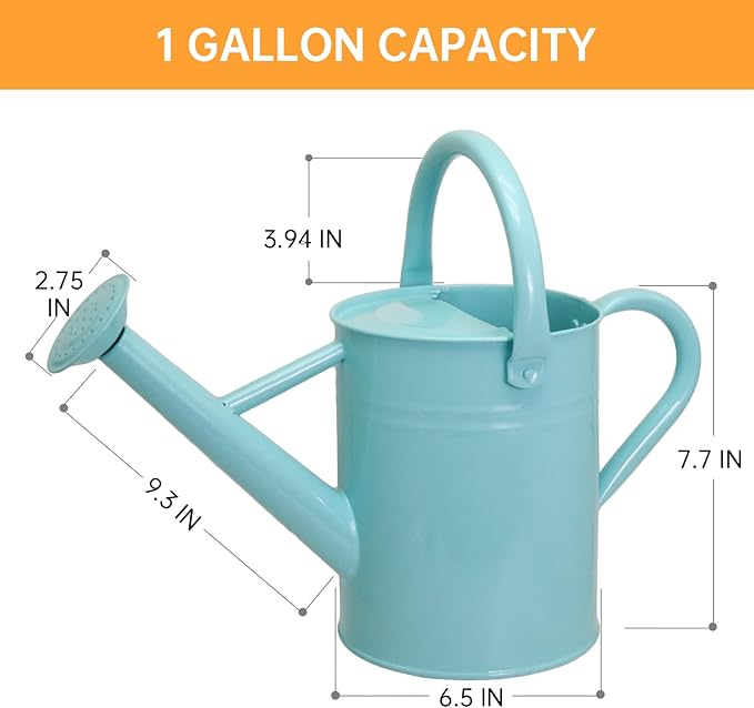 Metal Watering Can for Outdoor Plants, 1 Gallon Galvanized Steel Watering Can with Removable spout for Outdoor & Indoor Use, Perfect for Garden Flower, Houseplants, Mint
