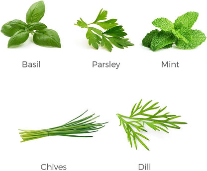 Herb Garden Seeds Collection - 5 Culinary Herb Seeds Pack - Organic Basil, Parsley, Mint, Chives and Dill Seeds, Heirloom Non-GMO Seeds for Planting