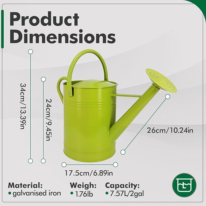 Galvanized Iron Watering Can for Indoor Plants, DIY Watering Cans for House Plant Garden Flower, Long Spout Water Can for Outdoor Watering Plants 7.57L 2 Gallon (Green)