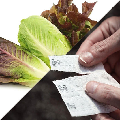 Park Seed Easy DIY Planting Sow Effortless Collection Seed Tape, Organic Tricolor Romaine Blend, 15 Feet