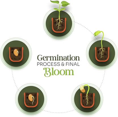 Onesie Seed Paper – 15 Green Baby Shower Favors for Guests with Wildflower Seeds, Writable & Plantable, Baby Shower Gifts for Guest