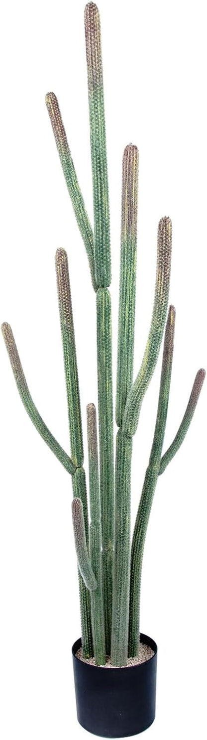 Tall UV Resistant Faux Cactus Plant，60in Realistic Texture Tall Fake Plant, Artificial Cactus Large with Black Pot Indoor Outdoor for Home Office Living Room Bedroom Foyer Porch Decor.