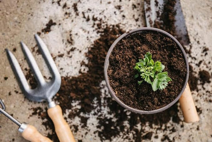 GARDENERA Premium Celery Potting Soil Mix - Optimal Nutrient-Rich Blend for Thriving and Crisp Celery Plants - 3 Quart