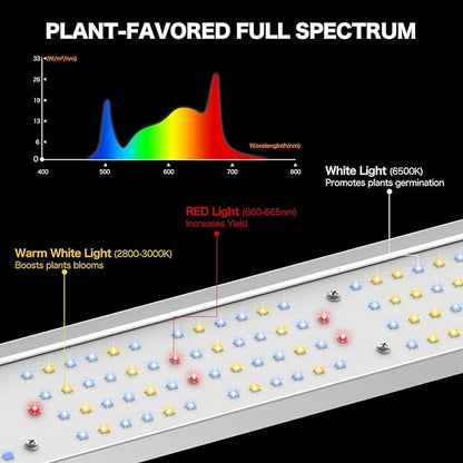 800W LED Grow Light, 5x5ft Coverage Full Spectrum Daisy Chain Growing Light, Dimmable & Retractable Bar Style Grow Lamp for Indoor Plants Greenhouse Vegetable Flower
