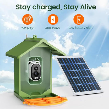 Bird Feeder with Camera 2.5K HD Live Video, AI Bird Identifier, 5MP Photos, 7W Solar Powered & 4000mAh Battery for Wall/Mount/Hang (Green)