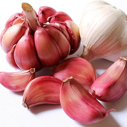 1 Pound Garlic for Planting in Fall Hardneck, 8-10 Red Garlic Bulbs for Planting, Fresh and High Yield Bulb Variety Pack, Hardy and Fast Growing