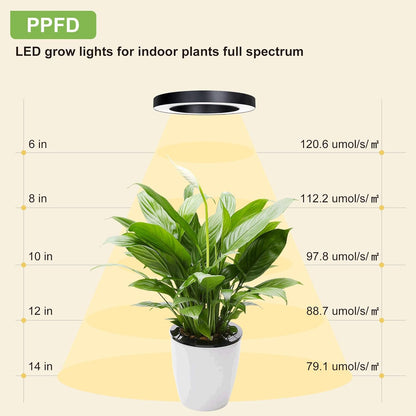 Full Spectrum Grow Light for Indoor Plants, 216 LEDs Halo Plant Light with Auto On/Off Timer (4/8/12H), 10-Level Brightness, 3 Lighting Modes, for Small Plants & Seedlings (Black, Tri Head)