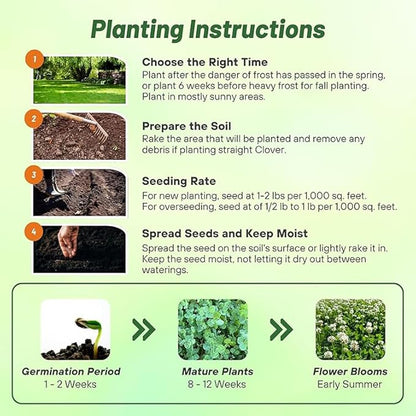 Outsidepride Perennial White Dutch Clover Seed - 40 lbs. Nitrocoated, Inoculated Clover Seeds for Lawn Alternative, Erosion Control, Food Plots, Ground Cover, & Pasture Mixtures in USDA Zones 3-10