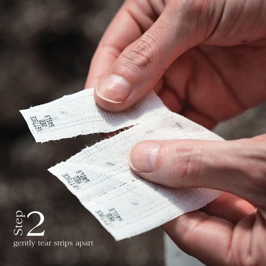 Park Seed Sow Effortless Collection Seed Tape – Rainbow Mix Beet, 15 Feet – Easy Planting, 5 Distinct Gourmet Varieties, Colorful Roots & Greens, Cool-Weather Crop, No Thinning, 50–55 Days to Maturity