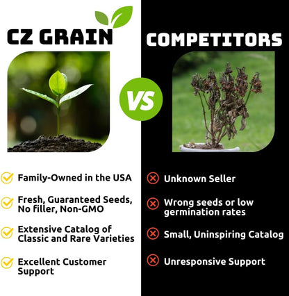 Perennial Ryegrass Seeds for Planting - Premium Quality Non-GMO Grass Seed for Lawns, Pastures, and Sports Fields (1/2 Pound)