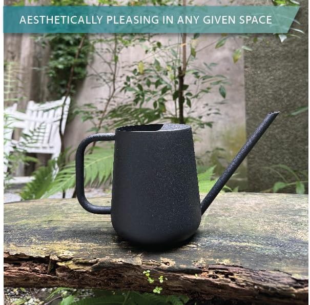 Metal Watering Can for Indoor Houseplants Outdoor Garden Long Sprout Water Can for Succulents Herb Bonsai Modern Garden Tool 33.8oz/1000ml (Dashing Black)