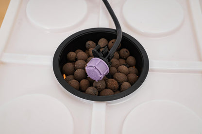 DWC Hydroponic Growing System, 5-Bucket 11L Deep Water Culture Indoor Planting Kit, Drip Irrigation Garden System with Pump, Indoor Gardening Grow Kit, for Vegetables, Herbs, and Fruits