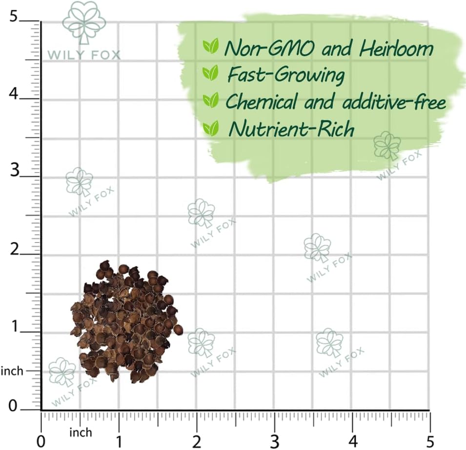 Premium Rare Hollyhock Seeds – 400+ Double Hollyhock Flower Seeds – Non-GMO, Heirloom Perennial – Showy Blooms for Outdoor Planting (Double Hollyhock Mix)