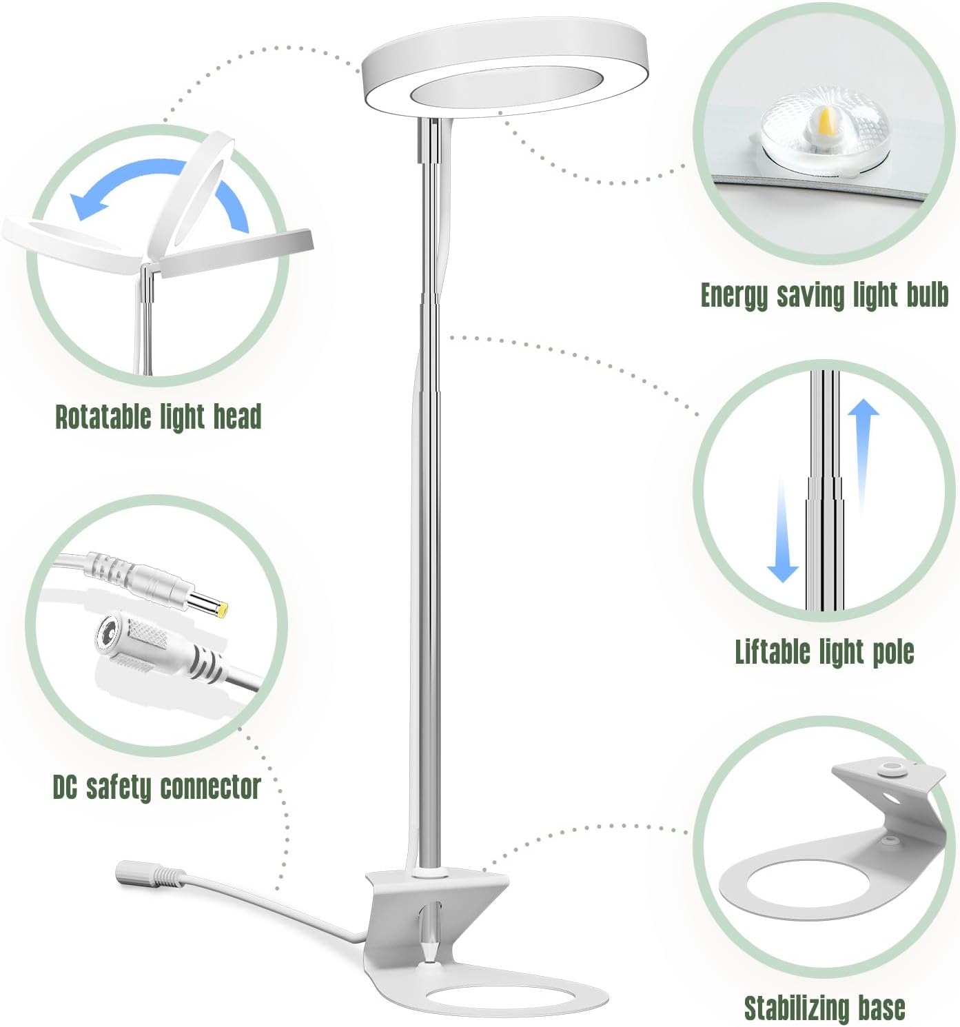 GLOWRIUM Grow Lights for Indoor Plants, LED Full Spectrum Growing lamp, 10 Level Dimmable, 3/9/12H Timer, 9-24 Inches Height Adjustable, Suit for Desk Succulents Mini Small Plants (White-Desk Style)