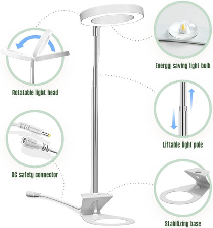 GLOWRIUM Grow Lights for Indoor Plants, LED Full Spectrum Growing lamp, 10 Level Dimmable, 3/9/12H Timer, 9-24 Inches Height Adjustable, Suit for Desk Succulents Mini Small Plants (White-Desk Style)