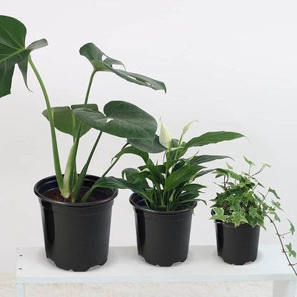 RAOOKIF 100 Pack Nursery Pots, 4 5 6 Inch Nursery Pot for Plants, Plastic Plant Pots with Drainage Holes, Garden Flower Pots for Transplanting, Succulents, Cuttings, Seedlings(6inch,100pcs)