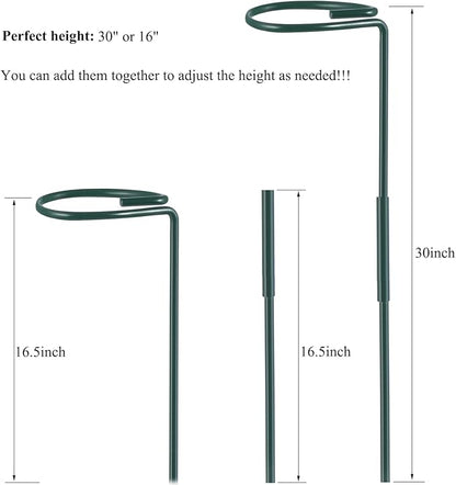 Plant Stake Support - 6 Pack Adjustable Height 16" or 30", Garden Support Stake Plant Cage Support Rings, Single Stem Plant Support Stakes, for Flowers Amaryllis Tomatoes Peony Lily Rose (30inch)