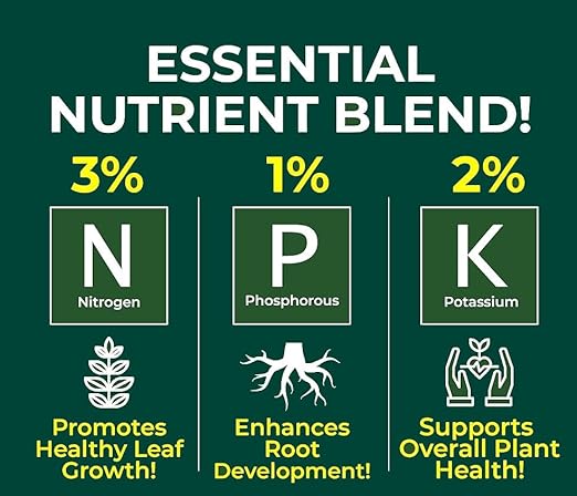 Gardenera Professional Money Tree Spray Fertilizer Mist for Home Gardening | 3-1-2 Gentle Blend Mist for Healthy Leaves & Growth | Essential Nutrients for Money Tree - 8oz