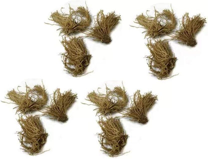 Fantastic Deal - 12 Bare Roots Hosta Plants - Mixed Heart-Shaped Hosta - Rich Green Foliage, Low Maintenance, Heart Shaped Leaves - Indoor and Outdoor