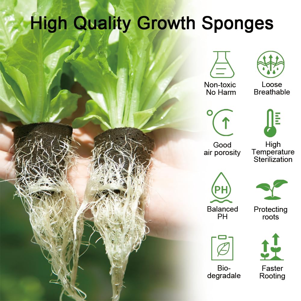 50 Packs Cuttage Grow Sponges, Pods Root Growth Sponge Eco Friendly PH Balance, Square Sponge Replacement Part Seedling Starter Sponges for Hydroponic Indoor Garden System Cuttage Rooting
