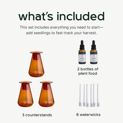 Counterstand Set – Vase Plant for Indoor Edible Garden Kit for Herbs & Lettuce – Small-Space Hydroponic System – Home Decor & Gifting – No Glow Lamp