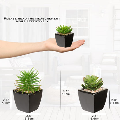 Hollyone Small Succulents Artificial 3 Pcs Faux Succulents in Pots Fake Succulent Plants with Black Ceramic Pots for Modern Home Office Desk Bathroom Shelf Living Room Decor