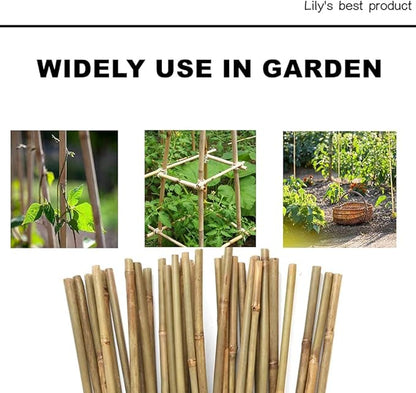 50 Pack 6ft Bamboo Plant Stakes for Wood Garden Sticks，Wooden Plant Supports，Bamboos，Bamboo Trellis，Crafts, More Size Choices 8"/12"/16"//2'/3'/4'/5'/6'