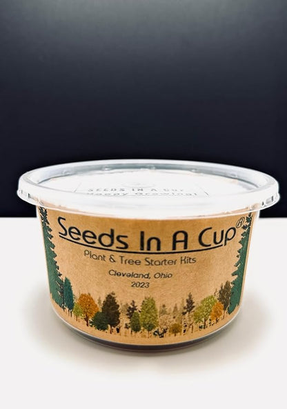 Ash Tree Seed Starter Kits from Seeds In A Cup | Educational | Great Gift Idea | Plant It for The Planet | Grow Your Own Trees | Plastic Planter