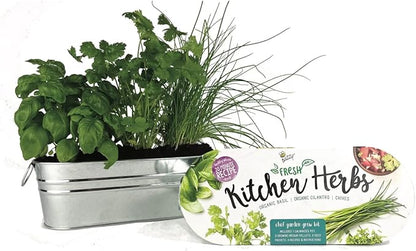 BUZZY Seeds Organic Windowsill Grow Kit, Copper Culinary Herb Garden with Basil, Cilantro and Chives, Indoor Starter Set with Seed Packets and Growing Medium, Holiday Present, Gardening Gift