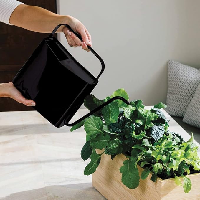 Modern Sprout Brass Finish Plant Watering Can - Long Spout Stainless Steel Vessel for Outdoor & Indoor Plants - Rust Resistant 3L Capacity - Garden Accessory for Houseplants & Decorative Use (Black)