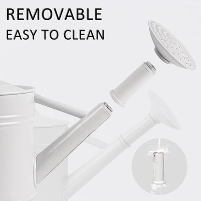 1 Gallon Metal Watering Can for Indoor Plants Outdoor Plants, Large Water Can, Garden Water Can for Kids, Detachable, Water Can with Handle, White