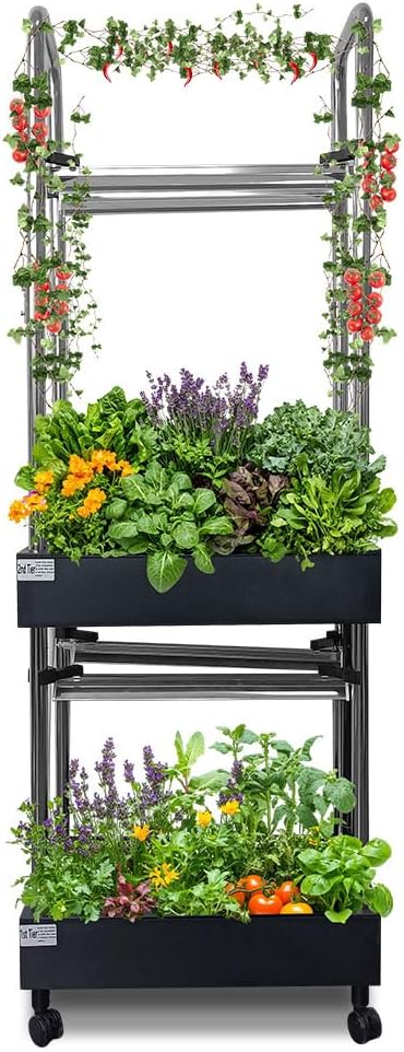 Upgraded Hydroponics Growing System, 2-Tier Indoor Hydroponic Garden with 32 Pods, Auto Water Circulation,Adjustable LED Grow Light, Smart Indoor Garden for Herbs, Vegetables, Climbing Plants