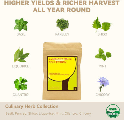 inbloom Culinary Herbs Seed Pod Kit for Hydroponics Growing System, 12 Pods (350+ Seeds with Basil, Parsley, Shis0, Liquorice, Mint, Cilantro, and Chic0ry)