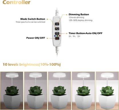 GLOWRIUM Grow Lights for Indoor Plants, Full Spectrum Plant Lights with Clip, Height Adjustable&3 Spectrum Mode, 3/9/12h Automatic Timer, 10 Dimmable Brightness, Mini Halo Grow Lights for Small Plant