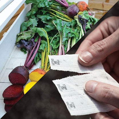 Park Seed Sow Effortless Collection Seed Tape – Rainbow Mix Beet, 15 Feet – Easy Planting, 5 Distinct Gourmet Varieties, Colorful Roots & Greens, Cool-Weather Crop, No Thinning, 50–55 Days to Maturity