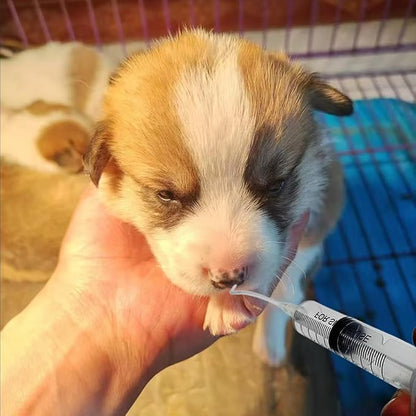 11pcs Puppy Kitten Feeding Tube Kit for Small Animals and Clear Feeding Syringe 5/10/20/30/60ml, Clear Feeding Tube, Syringe Bulb for Puppy Kitten Nestling Feeding Tools