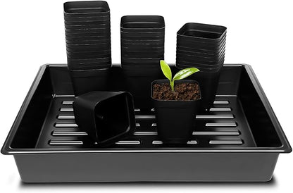 3.15 inch (8CM) Square Nursery Pots 100 pcs, Sturdy Seedlings Trays 5 Pcs, Seeds Starter Germination Tray, Microgreening Planter Nursery Propagation 5 Sets