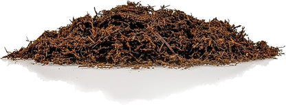 Premium New Zealand Tree Fern by GARDENERA - Orchid and Epiphytal Plants Growing Medium and Reptile Substrate - 1 Quart Bag