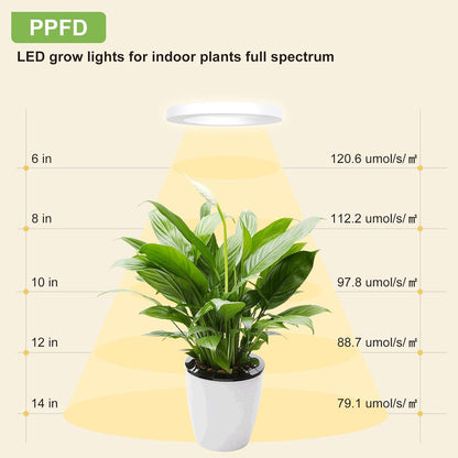 Full Spectrum Grow Light for Indoor Plants, 216 LEDs Halo Plant Light with Auto On/Off Timer (4/8/12H), 10-Level Brightness, 3 Lighting Modes, for Small Plants & Seedlings (White, Tri Head)