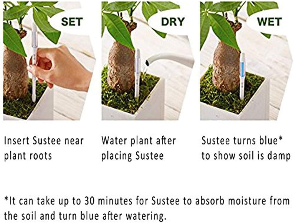 IPPINKA Sustee Aquameter (Large Green Refillable - Bundle of 2")