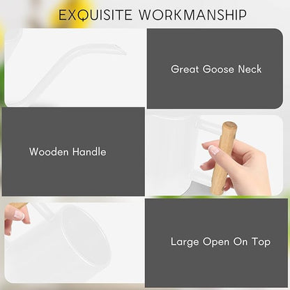 Watering Can Indoor Plants, 35 oz/1000 ml Metal Stainless Steel Watering Can Pot with Long Spout for Indoor House Plants Bonsai Outdoor Garden Flower Decorative (White)