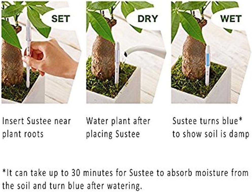 Sustee Aquameter (Small Green Refillable - Bundle of 2) - House Plant Soil Moisture Meter, Humidity Sensor Probe, Water Level Indicator - Best for Indoor Potted Plants