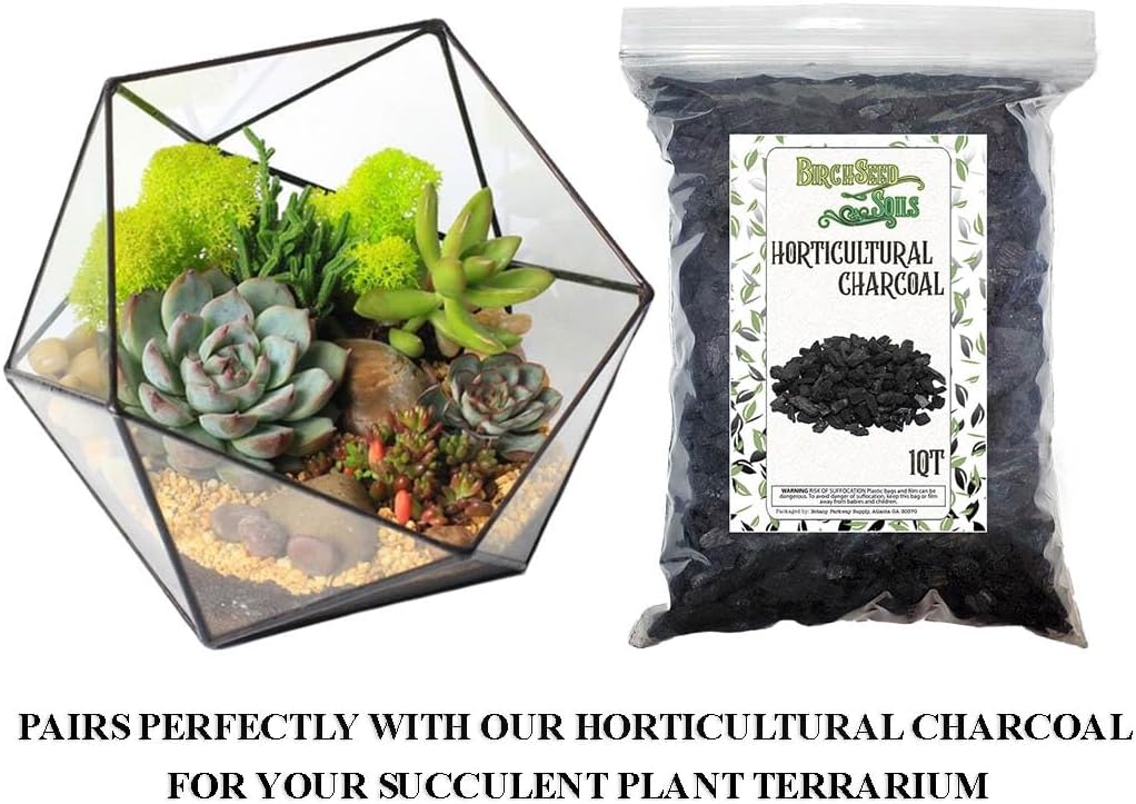 Succulent Soil Mix – 1 Quart All-Natural Fast-Draining Potting Soil for Succulents, Aloe, Cactus & Indoor Plants – Resealable Bag – Ready to Use Gritty Organic Blend for Potted Plants & Small Planters