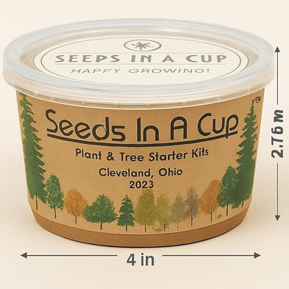 Date Palm | Seeds In A Cup: Date Palm Tree Starter Kit | Easy to use | Educational | Thoughtful Gift | Great Gift Idea | Plant It for The Planet | Grow Your Own Tree |