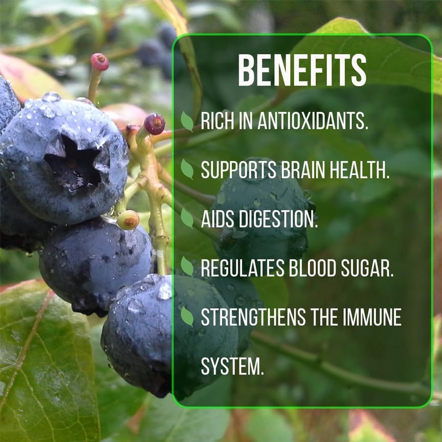 Pink Lemonade Blueberry (O'Neal)